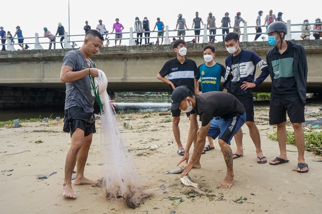 Nghề độc chỉ có sau bão ở Đà Nẵng: Ra biển săn cá nước ngọt khủng - Ảnh 12.