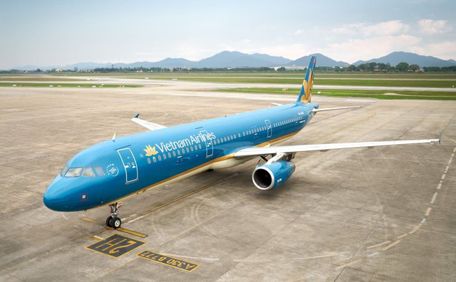 Hình ảnh Bông Sen Vàng của Vietnam Airlines xuất hiện khi nào? - Ảnh 4.