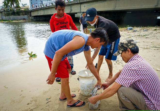  Nghề độc chỉ có sau bão ở Đà Nẵng: Ra biển săn cá nước ngọt khủng - Ảnh 14.