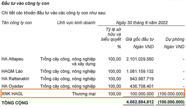  HAGL Agrico sắp giải thể một công ty con do hoạt động không hiệu quả  - Ảnh 1.