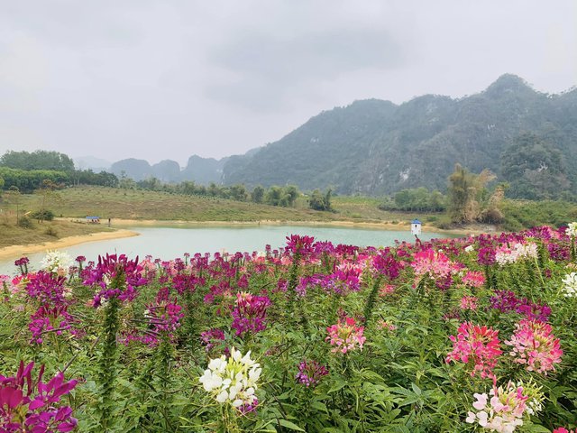 Hữu Lũng, Lạng Sơn - Điểm dã ngoại lý tưởng dịp Tết cho các gia đình  - Ảnh 2.