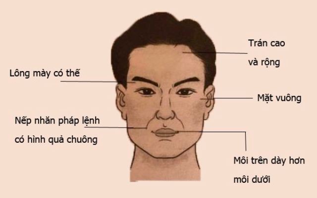 Tướng mặt người đàn ông có sự nghiệp vững vàng, giàu sang lại chung tình - Ảnh 4.