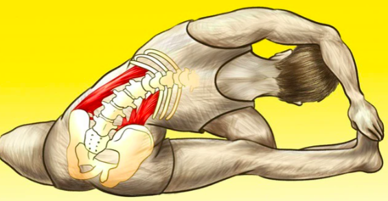 5 việc bác sĩ thường làm trước khi ăn sáng để tránh xa bệnh tật - Ảnh 1.