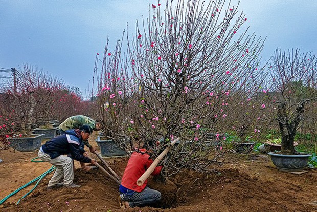 Khoảnh khắc bình dị đậm chất Hà Nội những ngày cận Tết