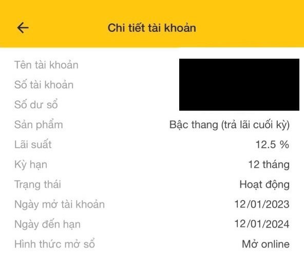 Người gửi tiền chóng mặt vì cùng một ngân hàng nhưng lãi suất mỗi nơi mỗi khác - Ảnh 2.