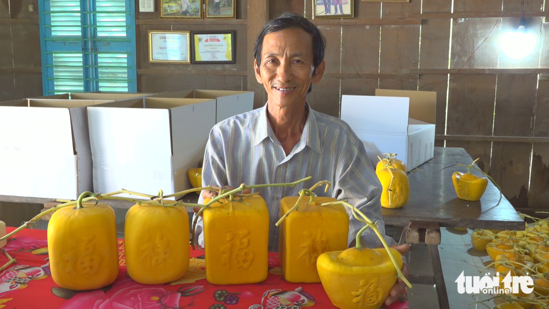 Dưa hấu hình thỏi vàng làm ra không đủ bán - Ảnh 1.