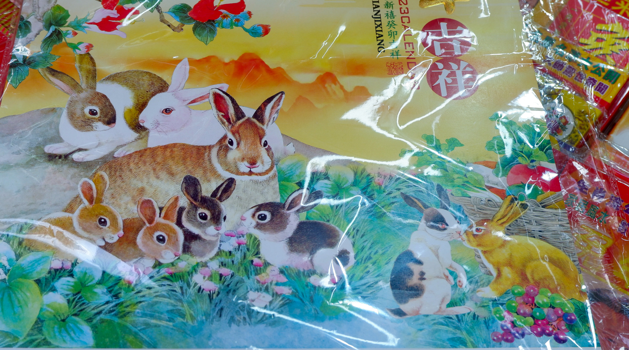 Người Hoa ở TPHCM nhộn nhịp đón Tết con thỏ - Ảnh 5.