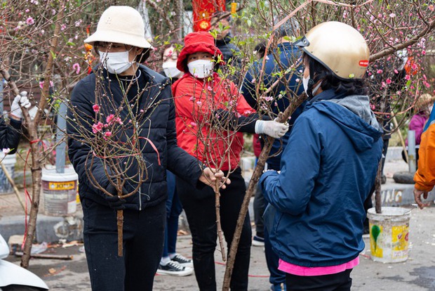 Chợ hoa Lạc Long Quân chật kín người mua, bán đào chiều 27 Tết - Ảnh 10.