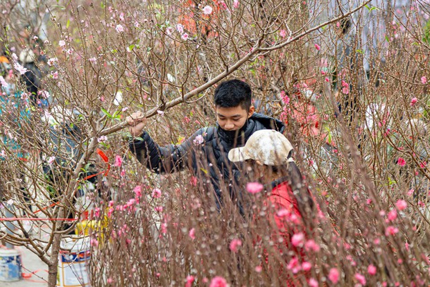 Chợ hoa Lạc Long Quân chật kín người mua, bán đào chiều 27 Tết - Ảnh 8.