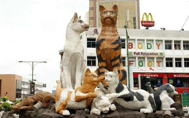 Có một thành phố nơi loài mèo được xuất hiện ở khắp mọi nơi - Ảnh 1.
