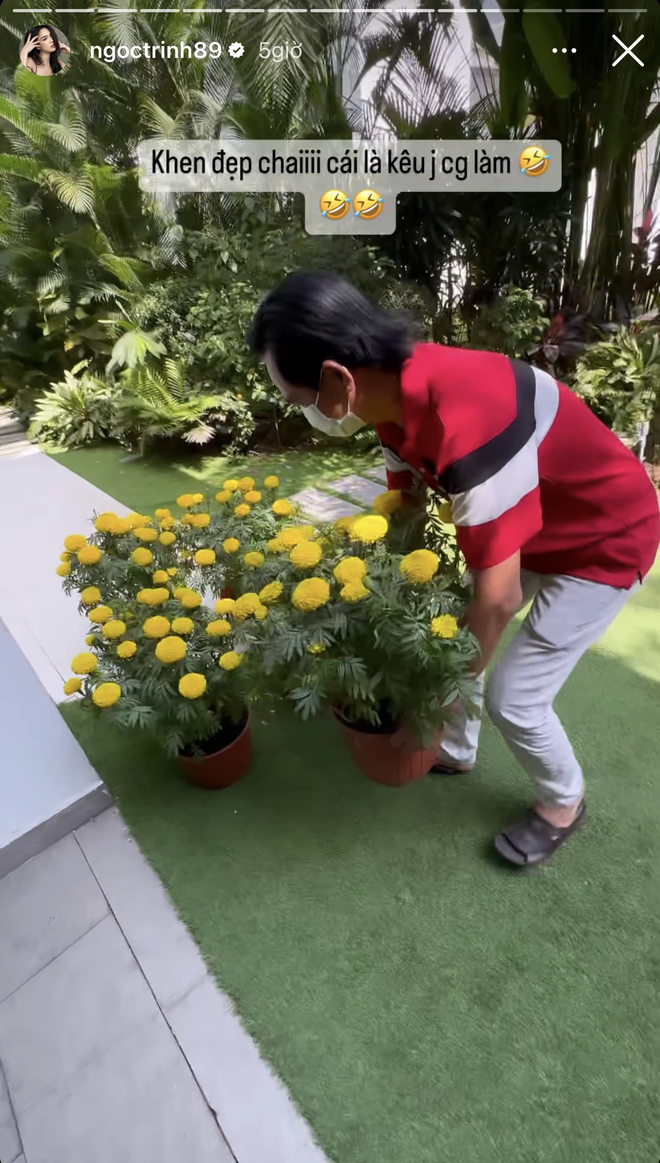 Sao Việt thi nhau khoe thú chơi hoa ngày Tết: HHen Niê gây ấn tượng với loại hoa cúc lạ  - Ảnh 9.
