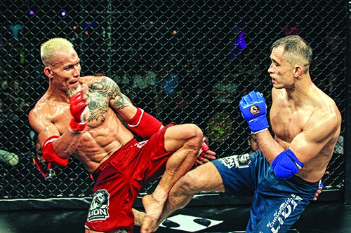 Nhà vô địch giải MMA đầu tiên của Việt Nam và giấc mơ đưa võ Việt bay xa - Ảnh 3.