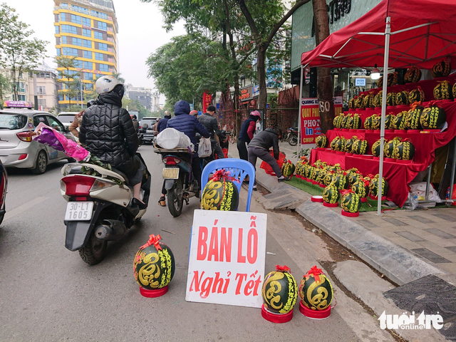  Hà Nội: Lan hồ điệp ‘sale sập sàn’ vẫn vắng khách mua  - Ảnh 3.