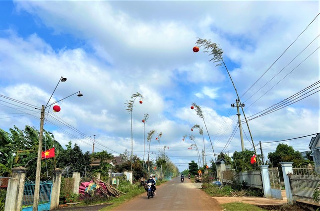 Cao nguyên Đắk Lắk dựng nêu đón Tết - Ảnh 5.