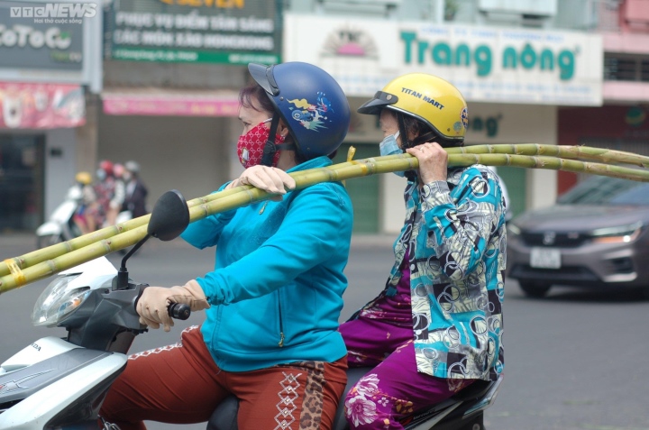 TP.HCM: Mía thân vàng đắt khách ngày cúng vía Ngọc Hoàng - Ảnh 5.