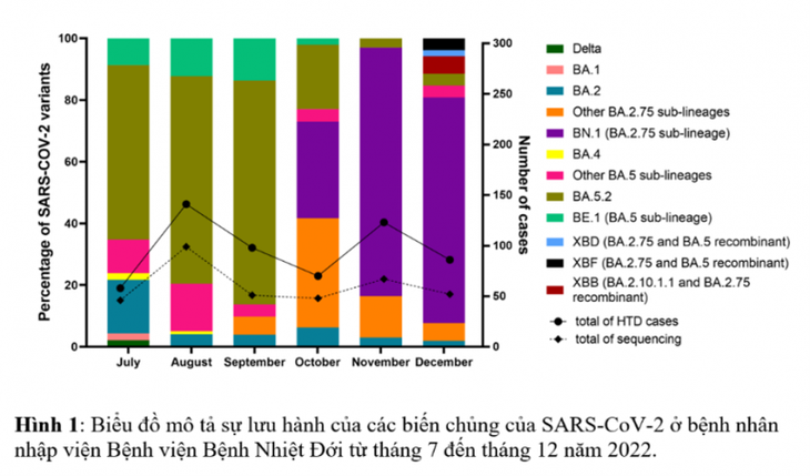 TP.HCM ghi nhận biến chủng phụ XBB của Omicron - Ảnh 1.