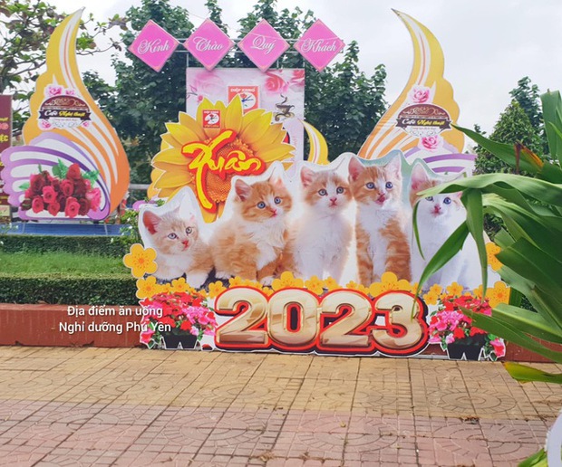 Dàn linh vật mèo mừng Tết Quý Mão 2023 khắp nơi tại Việt Nam cùng rủ nhau đọ độ dễ thương khiến dân mạng cười xỉu - Ảnh 8.