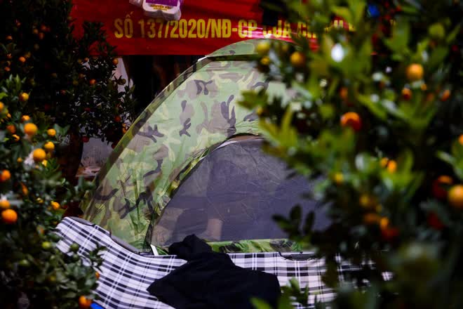 Tiểu thương ở Hà Nội dựng lều, mắc màn ở vỉa hè trông cây cảnh Tết - Ảnh 2.