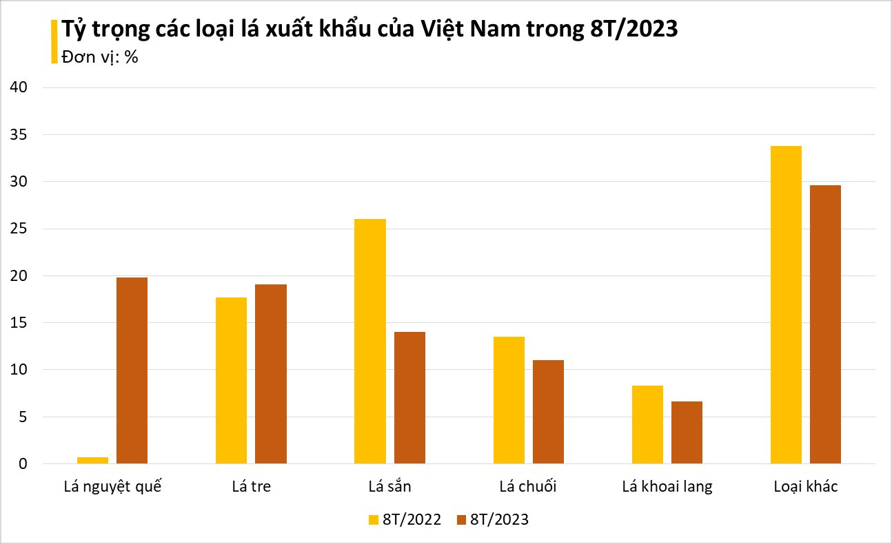 Một loại lá chuyên dùng để nấu phở của Việt Nam bỗng được săn lùng ở nước ngoài: Xuất khẩu tăng đột biến 2.000%, thu về hơn 20 tỷ đồng - Ảnh 2.