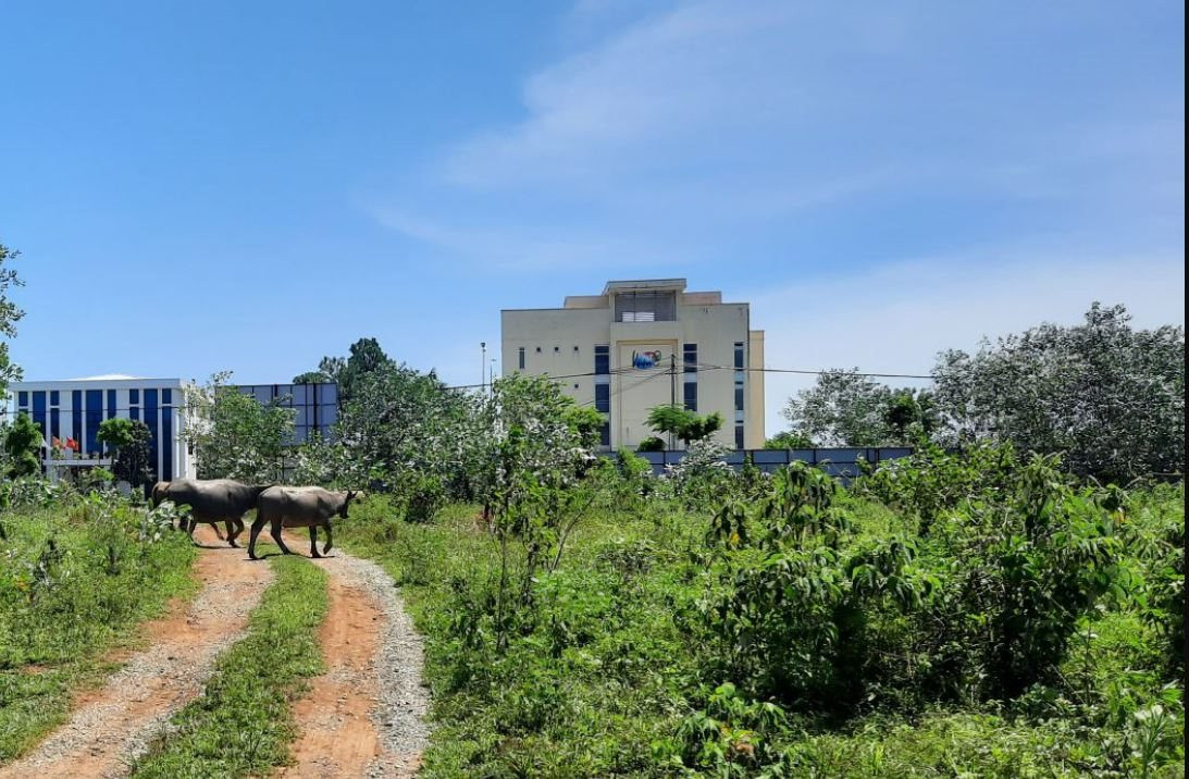Chính phủ ban hành Nghị quyết mới về việc bàn giao Khu Công nghệ cao Hòa Lạc về Hà Nội - Ảnh 1.