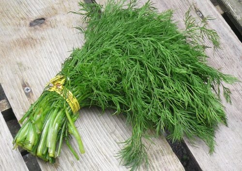 Giải độc cơ thể với 10 loại cây dễ tìm - Ảnh 2.