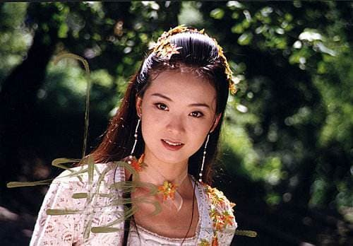 Mỹ nh&acirc;n đẹp nhất &ldquo;Ho&agrave;n Ch&acirc;u c&aacute;ch c&aacute;ch&rdquo; U50 vẫn trẻ kh&oacute; tin: Bỏ nghề l&agrave;m d&acirc;u h&agrave;o m&ocirc;n rồi bị chồng con coi thường - Ảnh 5.