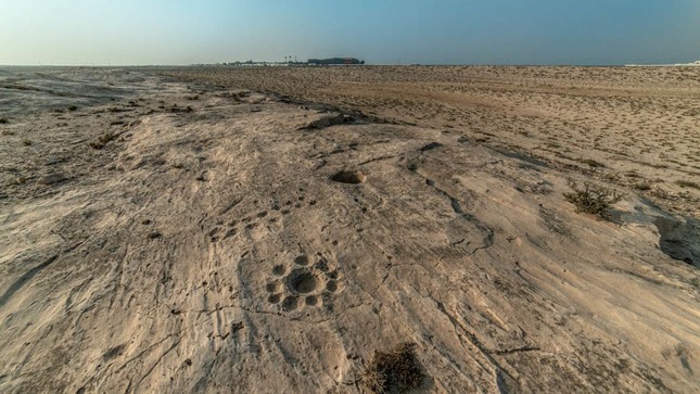 Những biểu tượng bí ẩn ở sa mạc Qatar - Ảnh 3.