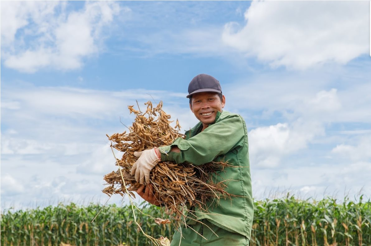 Một loại hạt giàu dinh dưỡng được ví như “thịt không xương”: Ở Việt Nam có một thương hiệu quốc gia, nỗ lực hơn 1 thập kỷ để phát triển bền vững vùng nguyên liệu - Ảnh 4.