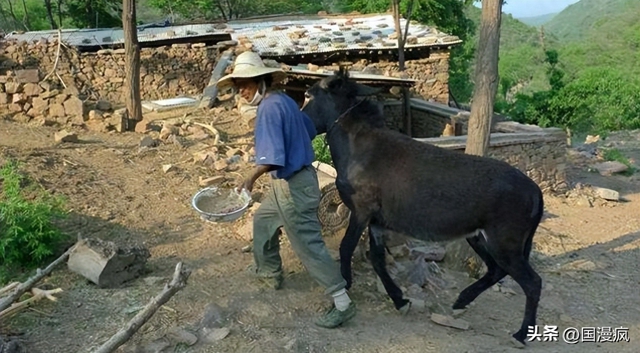 Giáo sư Bắc Đại bỏ phố lên núi sống ẩn dật 7 năm, tiêu sạch 12 tỷ tiết kiệm và nhận ra một sự thật - Ảnh 2.