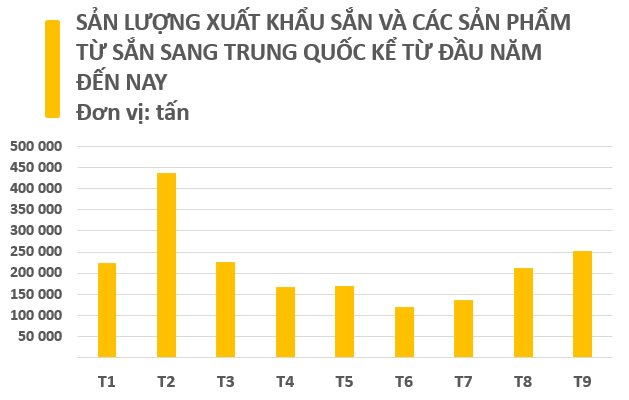 Việt Nam sở hữu một loại nông sản được ví như “vàng trắng” dưới lòng đất: Trung Quốc mỗi năm chi hàng tỷ USD để săn lùng, nước ta xếp thứ 2 thế giới về xuất khẩu - Ảnh 3.