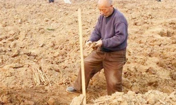 Lão nông cuốc đất đào trúng “thanh sắt gỉ” mang về nhà làm dao thái rau, 5 năm sau tiếc đứt ruột khi biết đó là “bảo vật”, trị giá hơn 3 tỷ đồng - Ảnh 6.