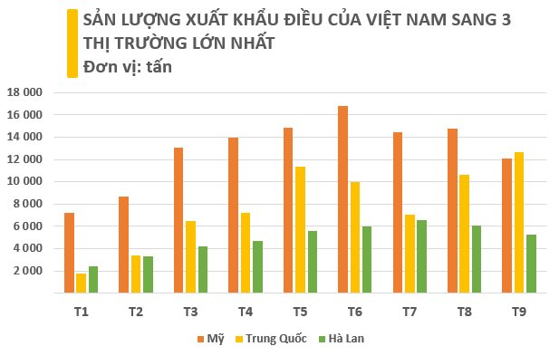 Việt Nam sở hữu báu vật trời ban xếp thứ 3 thế giới về sản lượng: Mỹ, Trung Quốc, châu Âu đều săn lùng, thu “sương sương” 300 triệu USD chỉ trong tháng 9 - Ảnh 3.