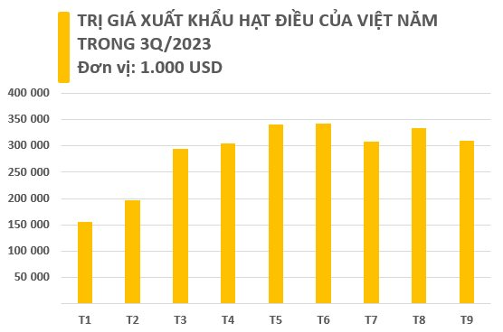 Việt Nam sở hữu báu vật trời ban xếp thứ 3 thế giới về sản lượng: Mỹ, Trung Quốc, châu Âu đều săn lùng, thu “sương sương” 300 triệu USD chỉ trong tháng 9 - Ảnh 2.