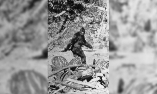 Mỹ: Phát hiện sinh vật mình đầy lông lá ở sườn núi, nghi “quái vật” mất tích gần 150 năm  - Ảnh 3.