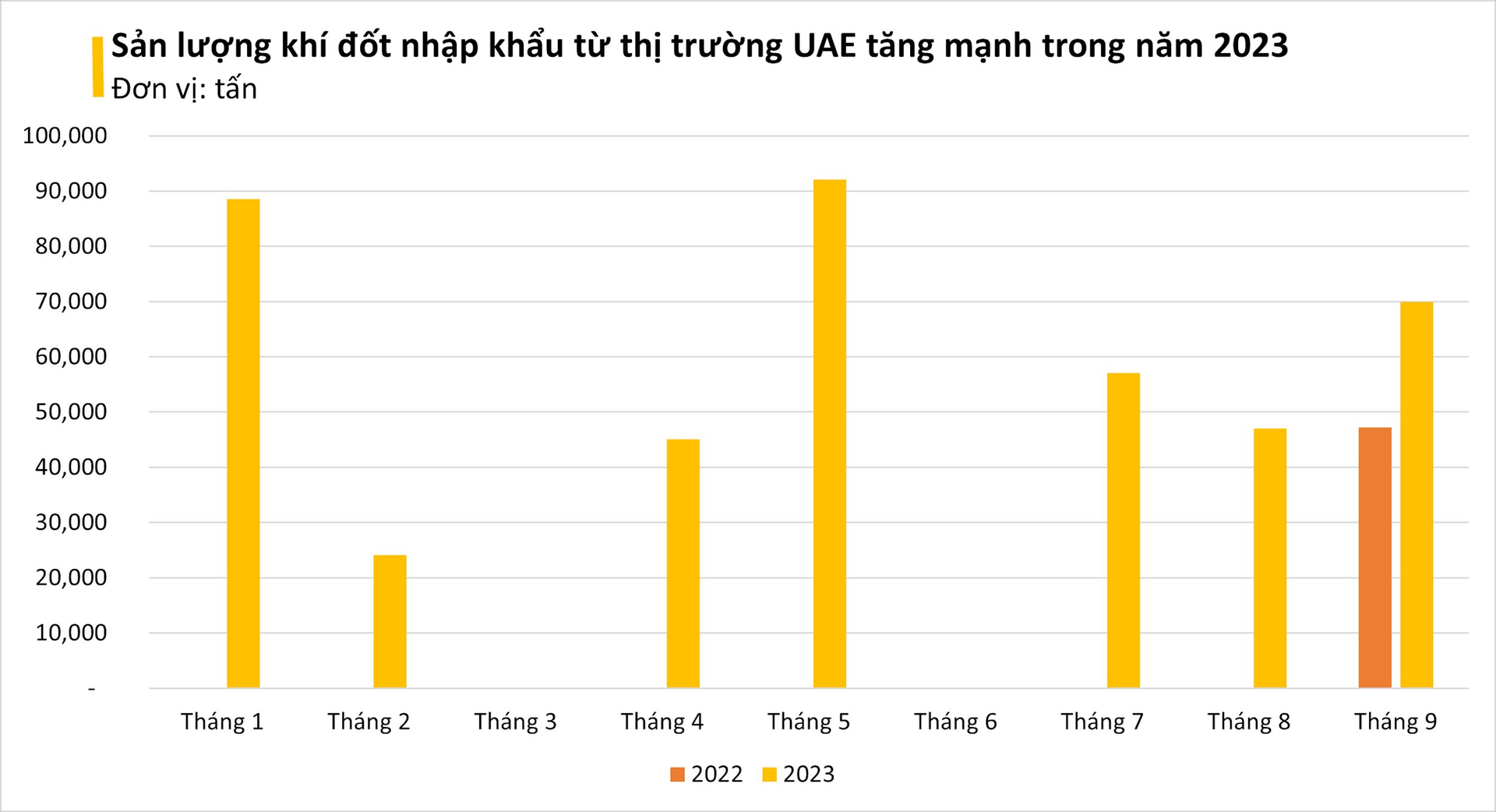 Giá cực rẻ, một mặt hàng từ Trung Đông đang ồ ạt tràn vào Việt Nam: nhập khẩu tăng gần 800%, Việt Nam được xem là át chủ bài trên thị trường - Ảnh 2.