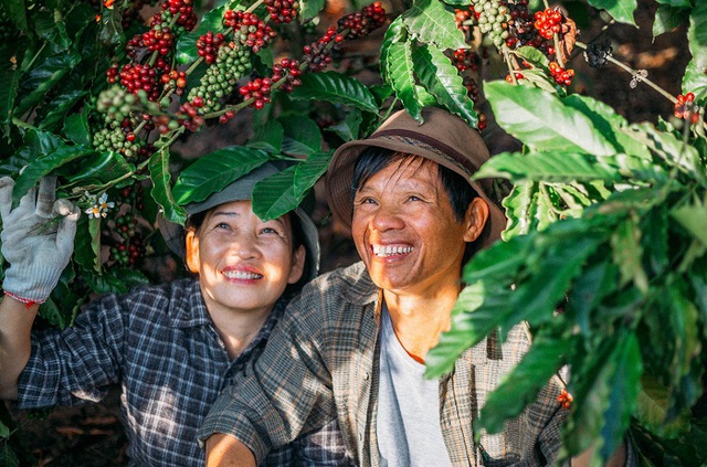 Thế hệ đại gia phố núi mới ở Gia Lai: Không đi lên từ khai thác gỗ và bất động sản, họ đang kiếm Đô La bằng cách nào? - Ảnh 4.