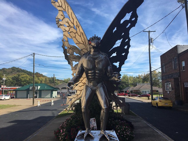 Mothman: Truyền thuyết đô thị hay sinh vật chưa được biết đến? - Ảnh 6.