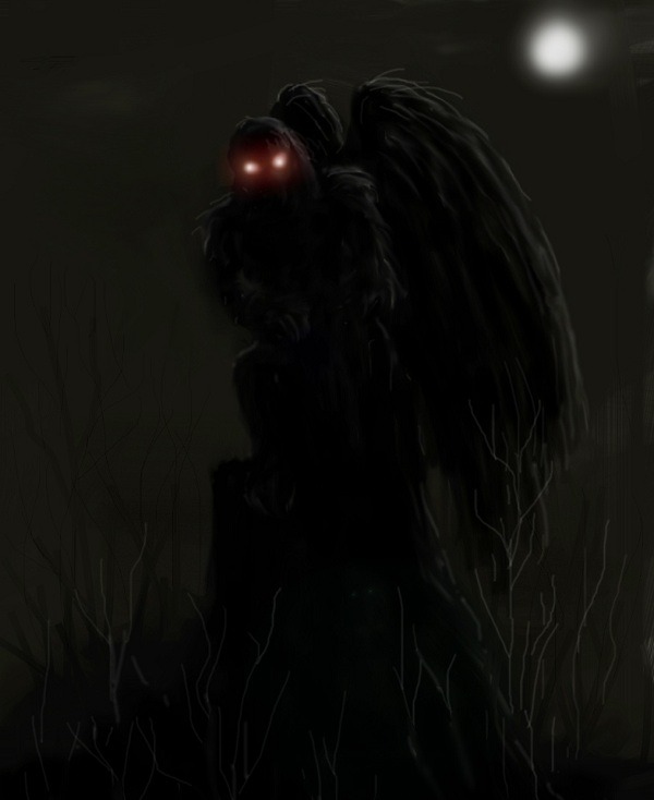 Mothman: Truyền thuyết đô thị hay sinh vật chưa được biết đến? - Ảnh 4.