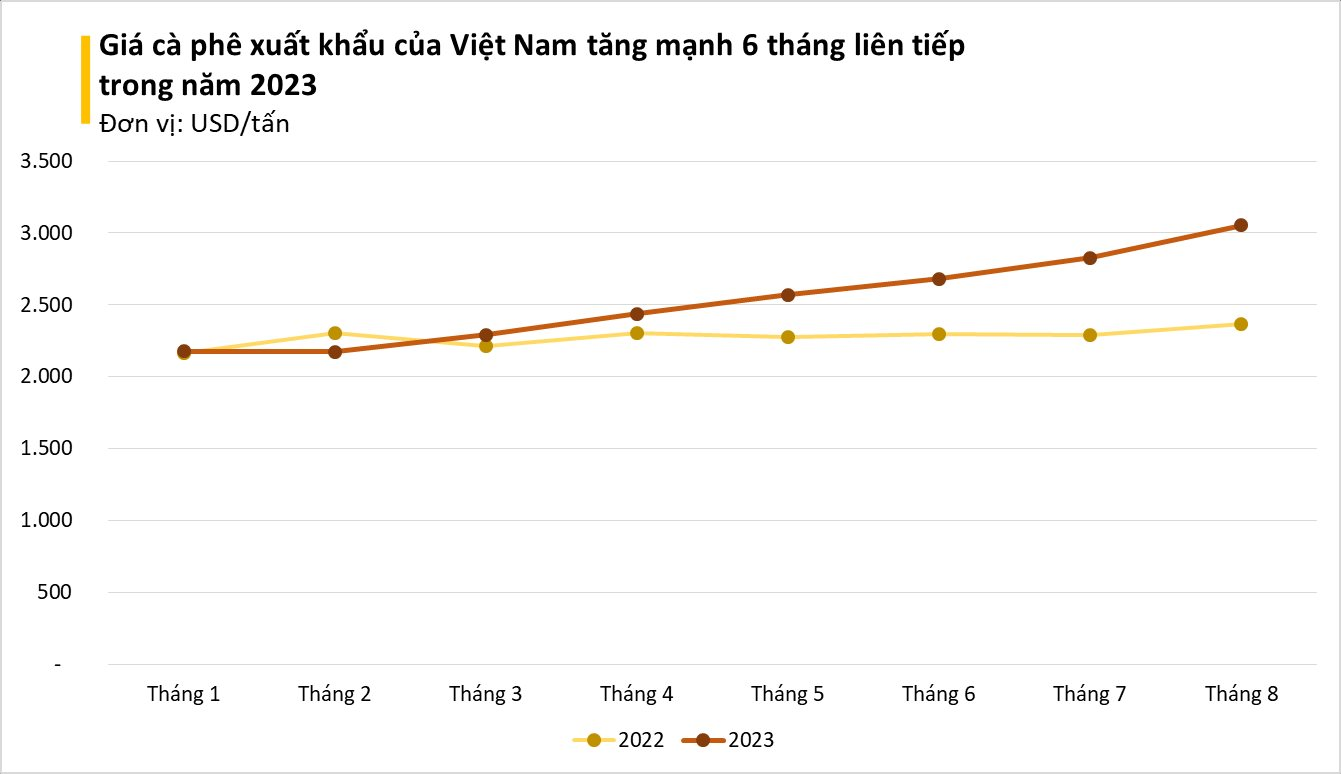 Một loại hạt Việt bất ngờ được quốc gia châu Âu này mua mạnh tay dù giá đắt đỏ, Việt Nam xuất khẩu đứng thứ 2 thế giới - Ảnh 2.