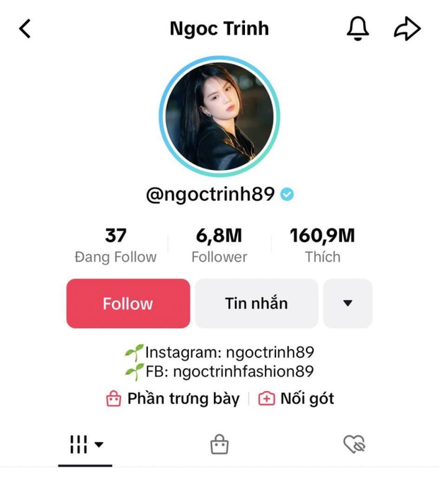  Ngọc Trinh bị bắt: Trường hợp hy hữu là lời cảnh tỉnh cho những ai đùa giỡn với pháp luật - Ảnh 4.