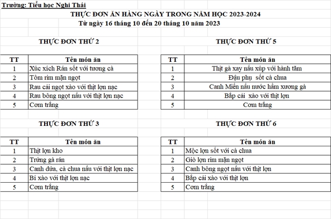 Xôn xao hình ảnh bữa ăn bán trú tại trường chỉ có cơm và đậu phụ - Ảnh 2.