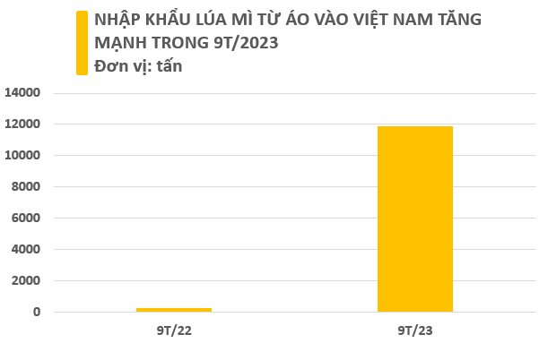Một loại hạt giá rẻ từ Áo đổ bộ Việt Nam chưa từng có, sản lượng tăng nóng gần 5.000% trong 9 tháng đầu năm - Ảnh 3.