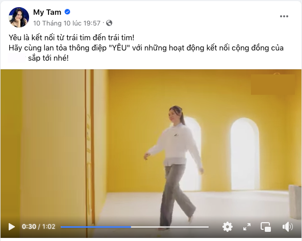 Chuyện gì đang xảy ra với Mỹ Tâm? - Ảnh 8.