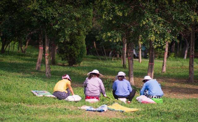 Mẹ già 76 tuổi, lương hưu 6 triệu vẫn đi làm thêm: Con trai ngăn cấm nhưng khi thấy sổ tiết kiệm thì vội đổi thái độ - Ảnh 1.