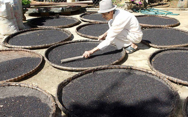 Việt Nam sở hữu một loại vàng đen được Trung Quốc, Mỹ liên tục săn lùng: Xuất khẩu tăng nóng, cả thế giới phụ thuộc vào Việt Nam - Ảnh 1.