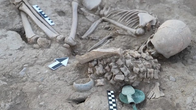 Bí ẩn cô gái được chôn cùng hơn 150 bộ xương động vật - Ảnh 1.