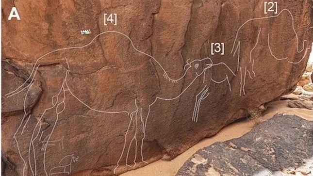 Phát hiện những bức chạm khắc lạc đà bí ẩn trên đá - Ảnh 1.