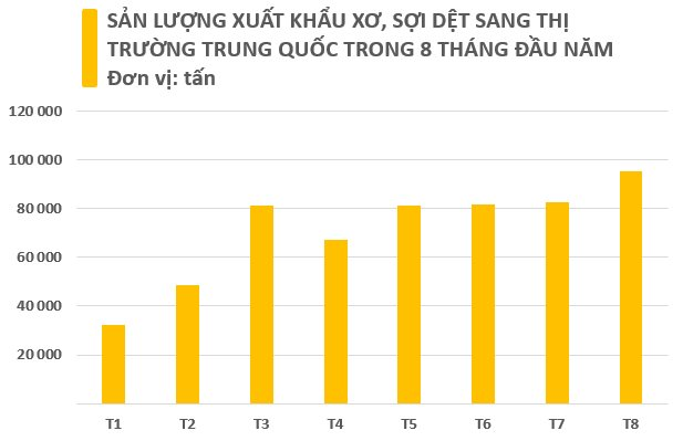 Việt Nam sở hữu “viên ngọc quý” khiến Trung Quốc mạnh tay chi hàng tỷ USD săn lùng: Xuất khẩu tăng mạnh trong 8 tháng đầu năm, là cứu tinh giúp Trung Quốc thống trị thị trường toàn cầu - Ảnh 2.