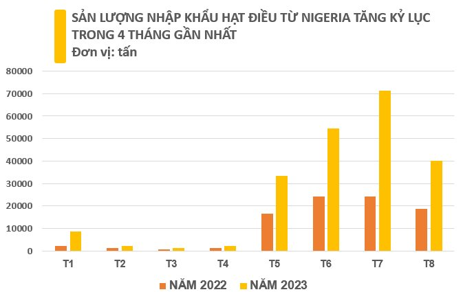 Xuất khẩu đứng đầu thế giới, Việt Nam vẫn mạnh tay mua loại hạt này từ châu Phi: Nhập khẩu lập kỷ lục 4 tháng liên tiếp, giá rẻ chưa từng có - Ảnh 2.