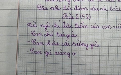 Học sinh đặt câu với từ phức khiến cô giáo tá hỏa: Mới chút tuổi mà đã triết lý thế này! - Ảnh 6.